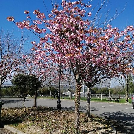Tara View Apartments Garristown Esterno foto